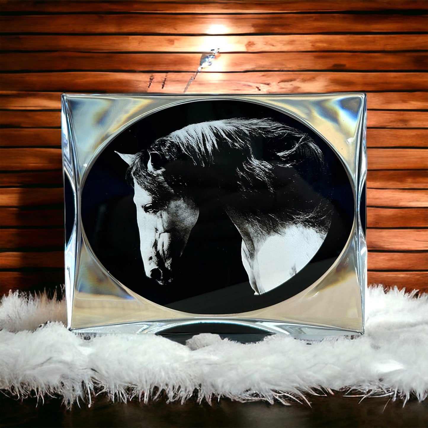 Horse Art Gifts Portrait Home Decor, Birthday Horse Lover Black Clear Plaque Award, White Horse Modern Portrait Gift for Him Her