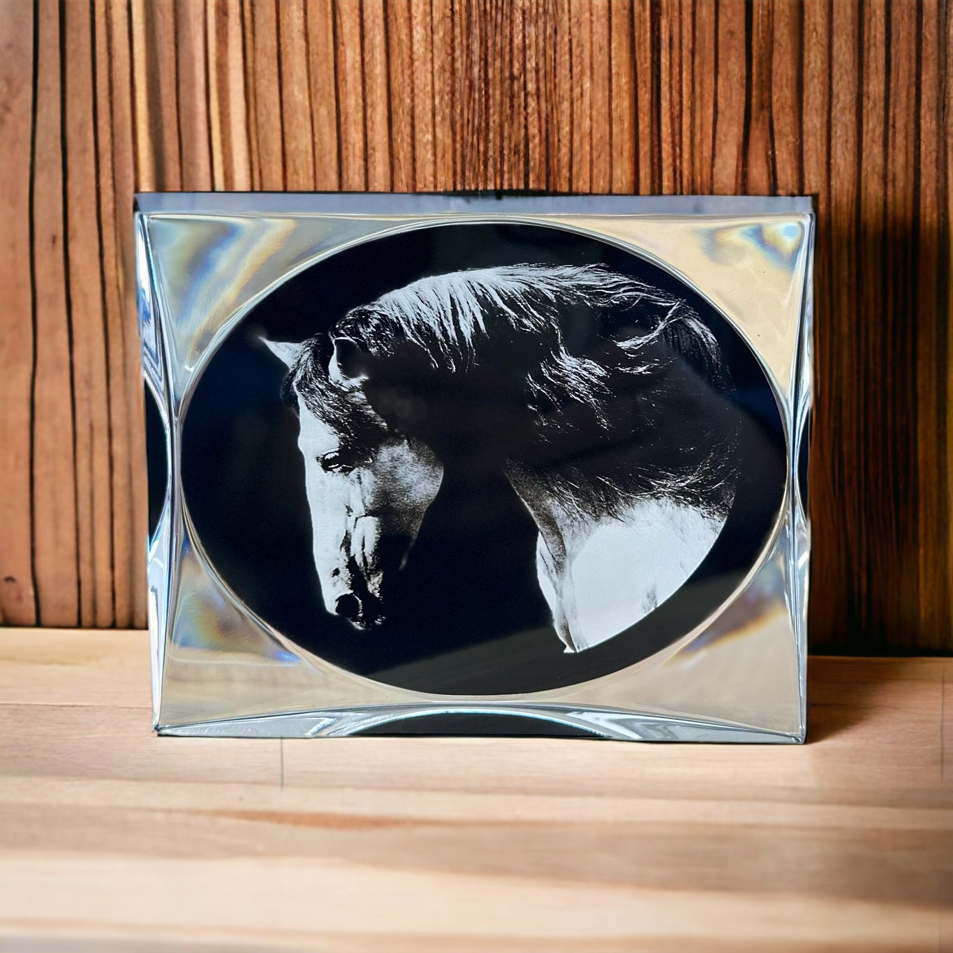 Horse Art Gifts Portrait Home Decor, Birthday Horse Lover Black Clear Plaque Award, White Horse Modern Portrait Gift for Him Her