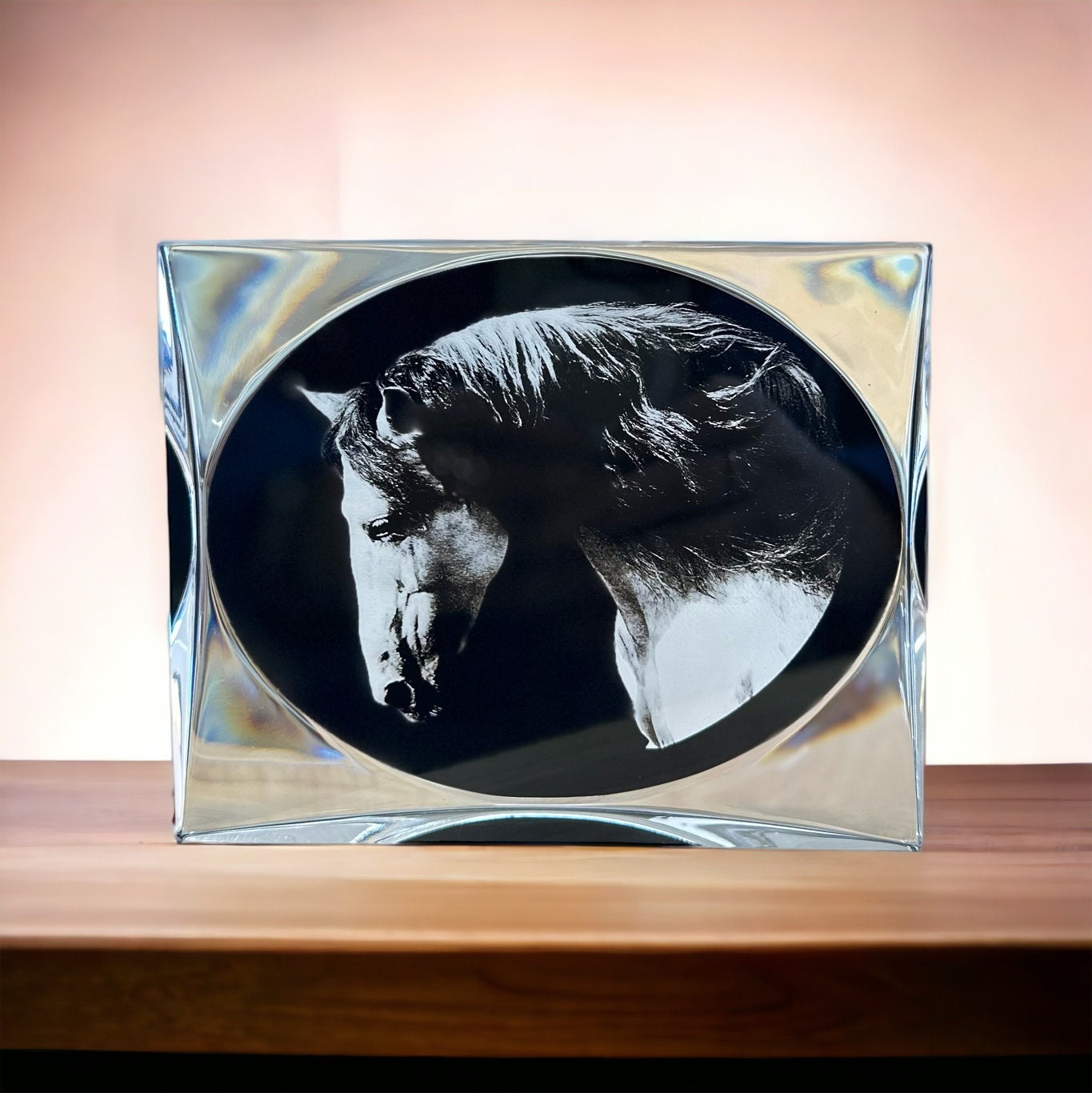 Horse Art Gifts Portrait Home Decor, Birthday Horse Lover Black Clear Plaque Award, White Horse Modern Portrait Gift for Him Her