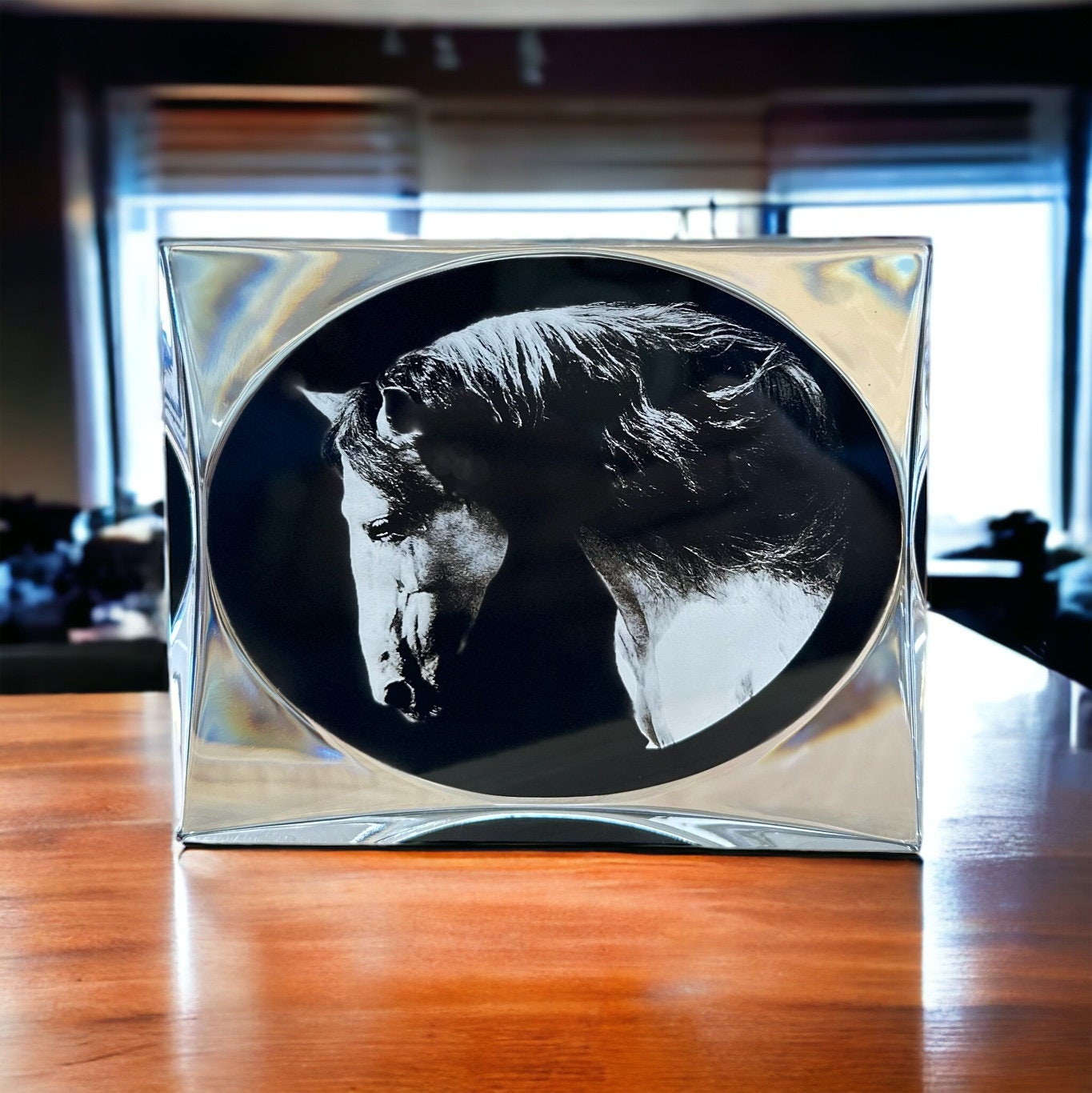 Horse Art Gifts Portrait Home Decor, Birthday Horse Lover Black Clear Plaque Award, White Horse Modern Portrait Gift for Him Her