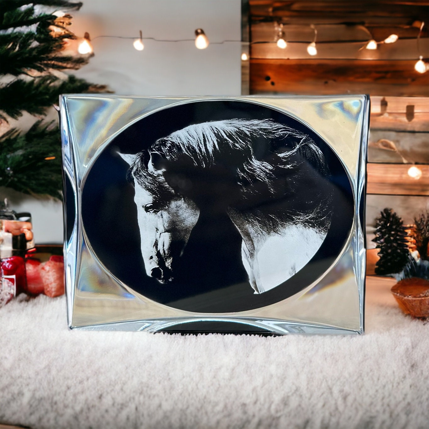 Horse Art Gifts Portrait Home Decor, Birthday Horse Lover Black Clear Plaque Award, White Horse Modern Portrait Gift for Him Her
